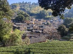 -杨家堂村