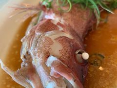 东星斑-海天花园酒家