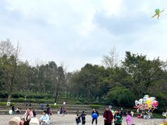 -重庆彩云湖湿地公园