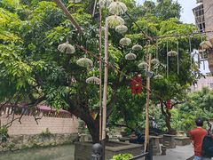 -小洲村