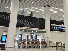 -望京西(地铁站)