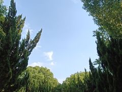 -苏州文庙(姑苏区)