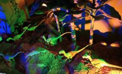 -恐龙探索乐园(磁器口店)