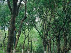 -燕晗山郊野公园