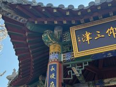 -桃花堤公园