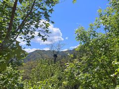 -北京鹫峰国家森林公园