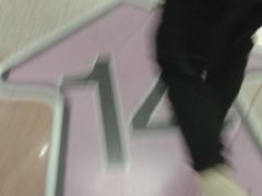 -大望路(地铁站)