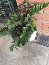 -健民珠宝(西正路店)