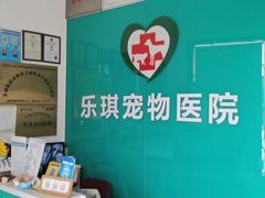 -乐琪宠物医院·犬猫专科·骨外科·急重症