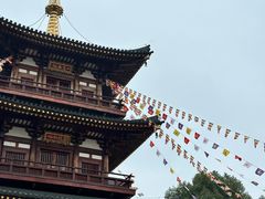 -庐山风景名胜区-东林大佛