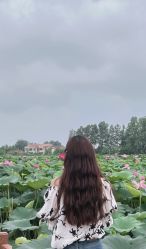 -YESIDO椰岛造型
