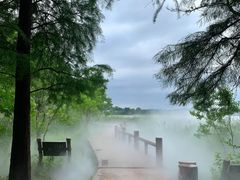 -东湖落雁景区