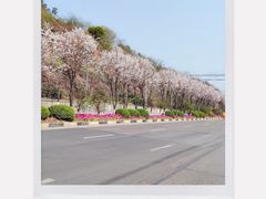 -南山植物园