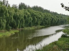 -东郊湿地公园