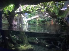 -厦门海底世界