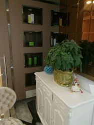 -佐登妮丝美容SPA生活馆