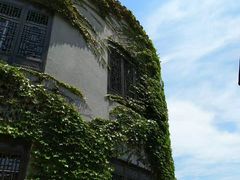 -普陀山慧济禅寺