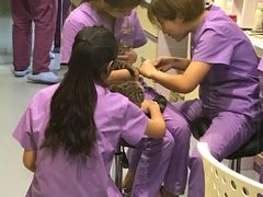 -瑞鹏宠物医院·爱宠堂·骨外专科(西荷分院)