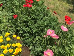 -国家植物园南园