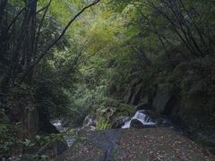 -神农架香溪源景区