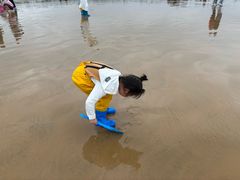 -日照海滨国家森林公园