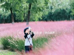 -九里湖国家湿地公园