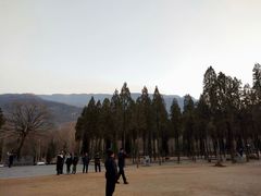 -嵩山少林文化旅游景区