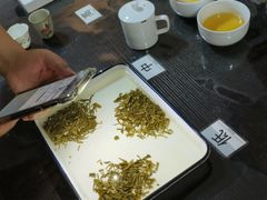 -诗宇时光茶艺书法古琴培训