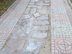 -石榴庄公园