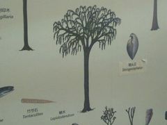 -自然博物馆新馆2楼餐厅