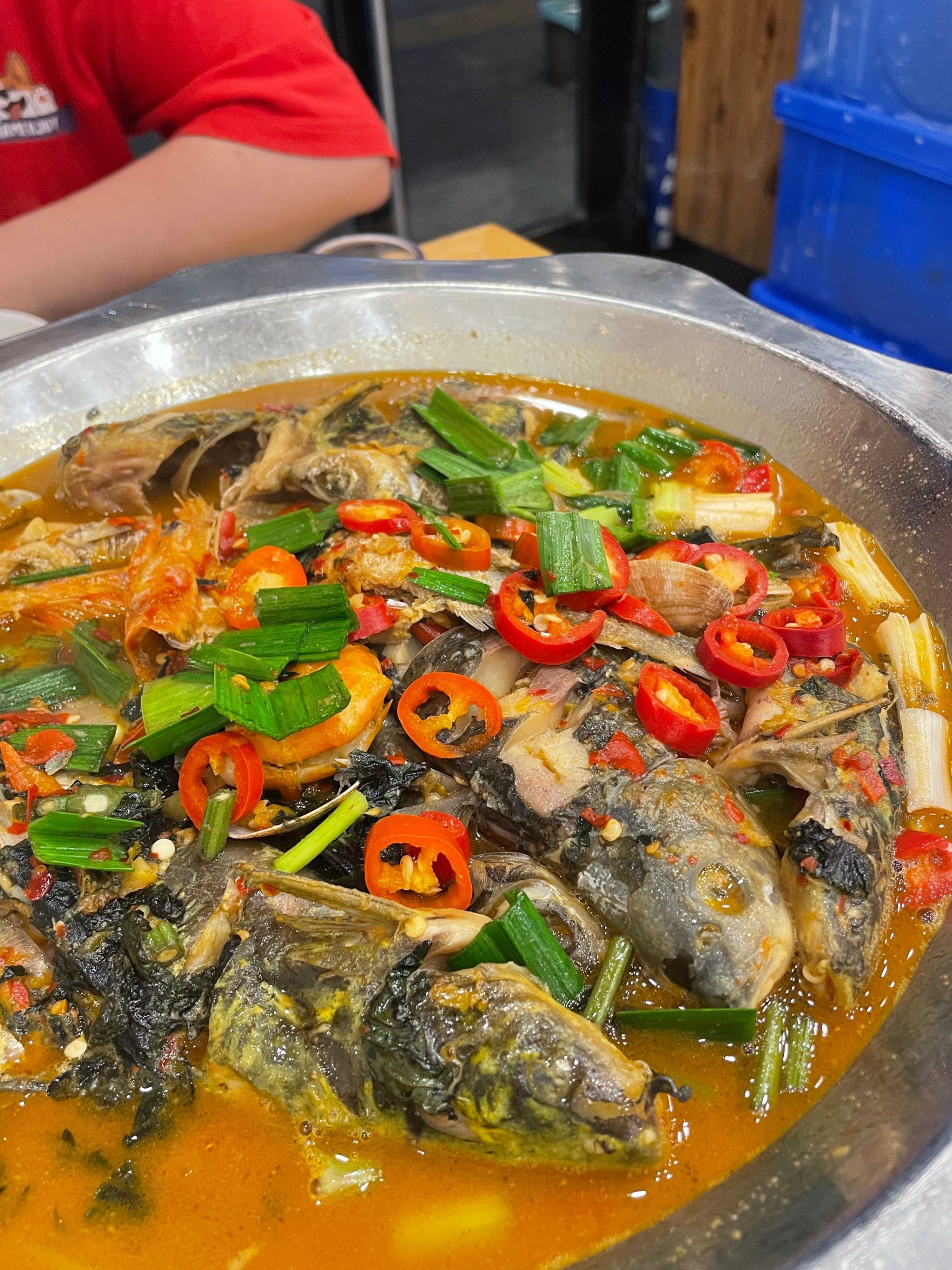 无辣不欢美食 #土菜 #0元玩转这座城 在迎春东苑的一家衢州菜馆,匣抖
