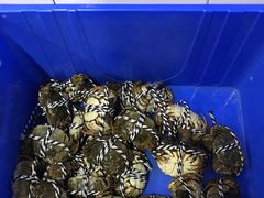 -七的湖·江南蟹舫·阳澄湖农家菜(蟹舫苑店)