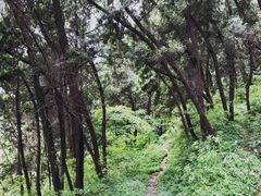 -金堂县云顶石城风景区