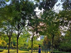 -嵖岈山风景区