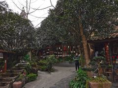 -青城甲(青城山店)