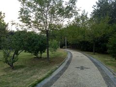 -河南师范大学(主校区)