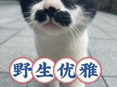 -陆家嘴世纪金融广场