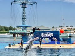 -秦皇岛乐岛海洋王国