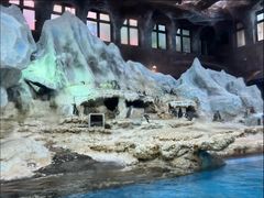 -帝企鹅自助餐厅•儿童岛•真企鹅(长隆企鹅酒店)