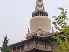 -张掖大佛寺景区