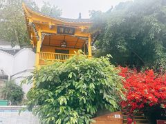 -泸州老窖景区