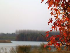 -南京枫彩漫城