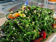 -许记驴肉黄面胡杨焖饼