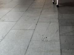 -复旦软件园