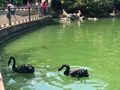 -昆明动物园