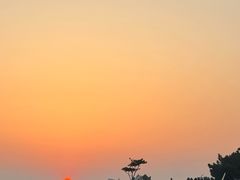 -青岛金沙滩