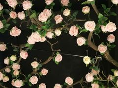 -韵秋荷(宝山龙湖天街店)