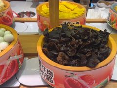 -龍歌自助小火锅(崂山丽达店)