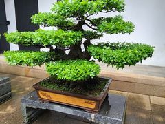 -绮园景区