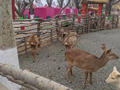 -北戴河集发农业梦想王国